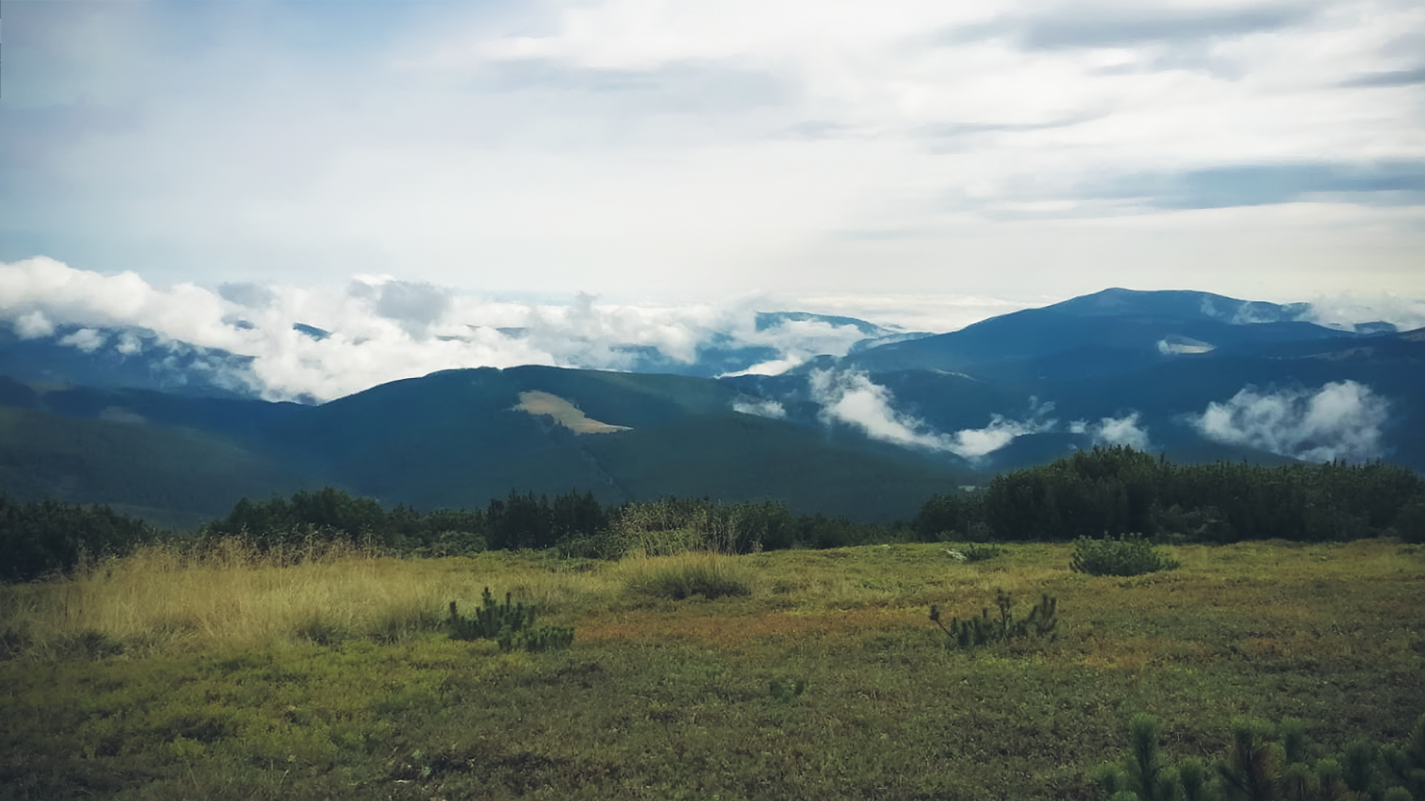 Drumetie dedicata "Micilor Montaniarzi" - Muntii Cindrel