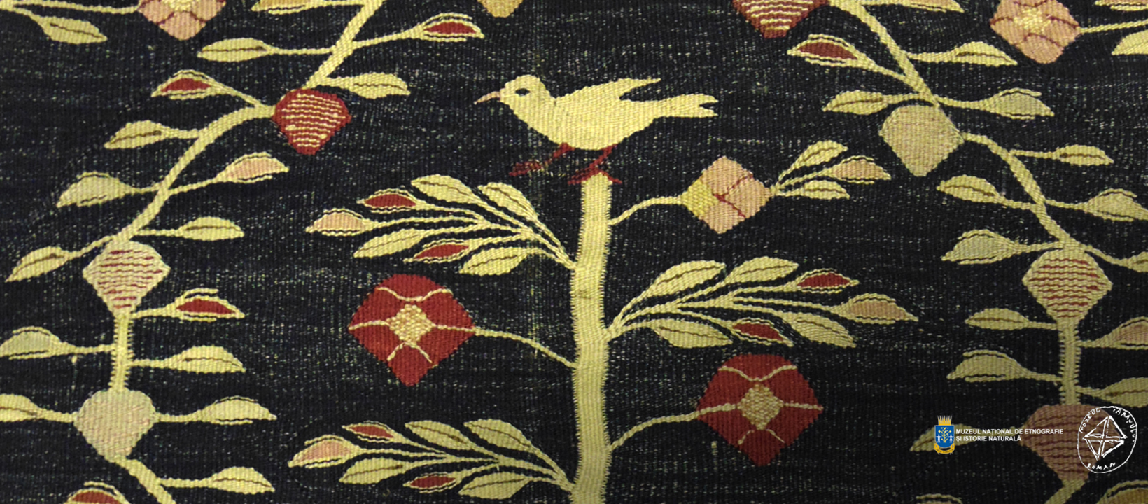 PASĂREA MĂIASTRĂ - ZBOR ÎNTRE LUMI