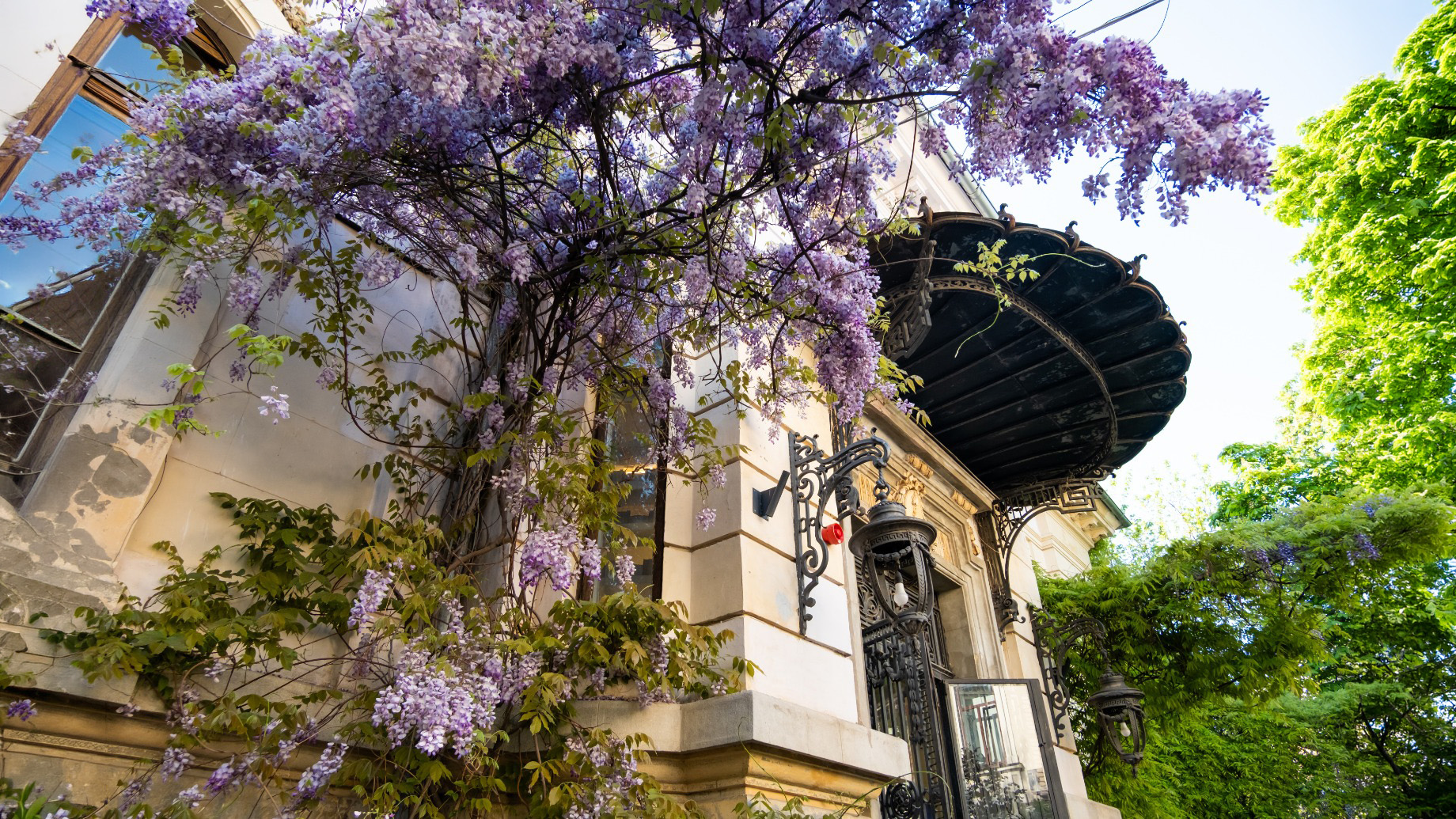 Explorează Bucureștiul: La pas prin zona Ioanid și Grădina Icoanei