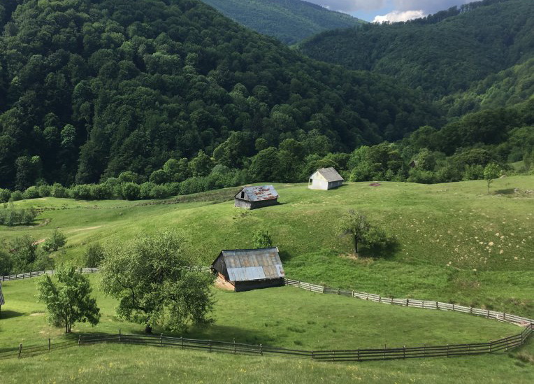 Drumeție din Păltiniș pe Calea Studenților