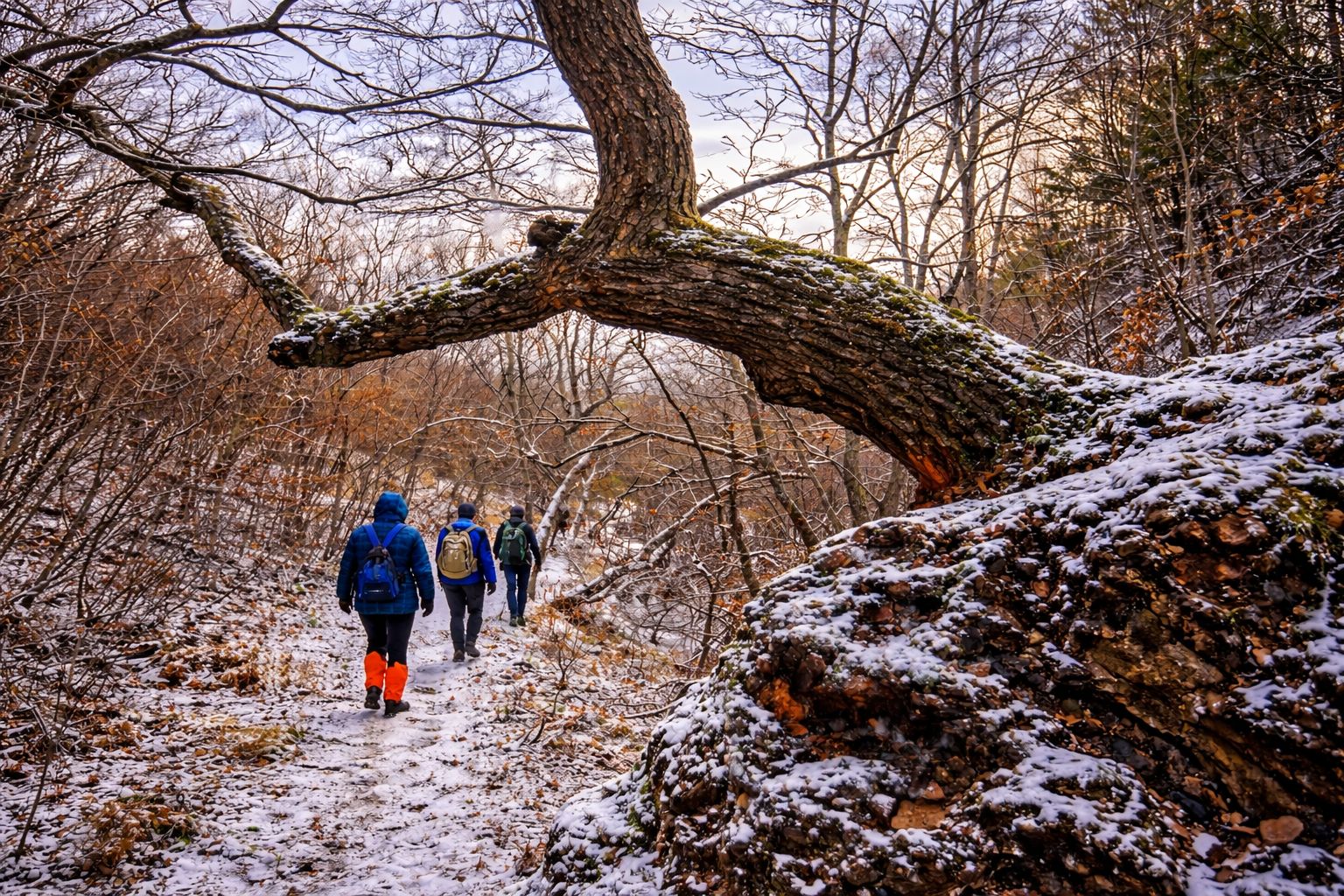 Drumeție de iarnă în Munții Măcin - zona Greci,Dealul cu Drum | 24 ianuarie