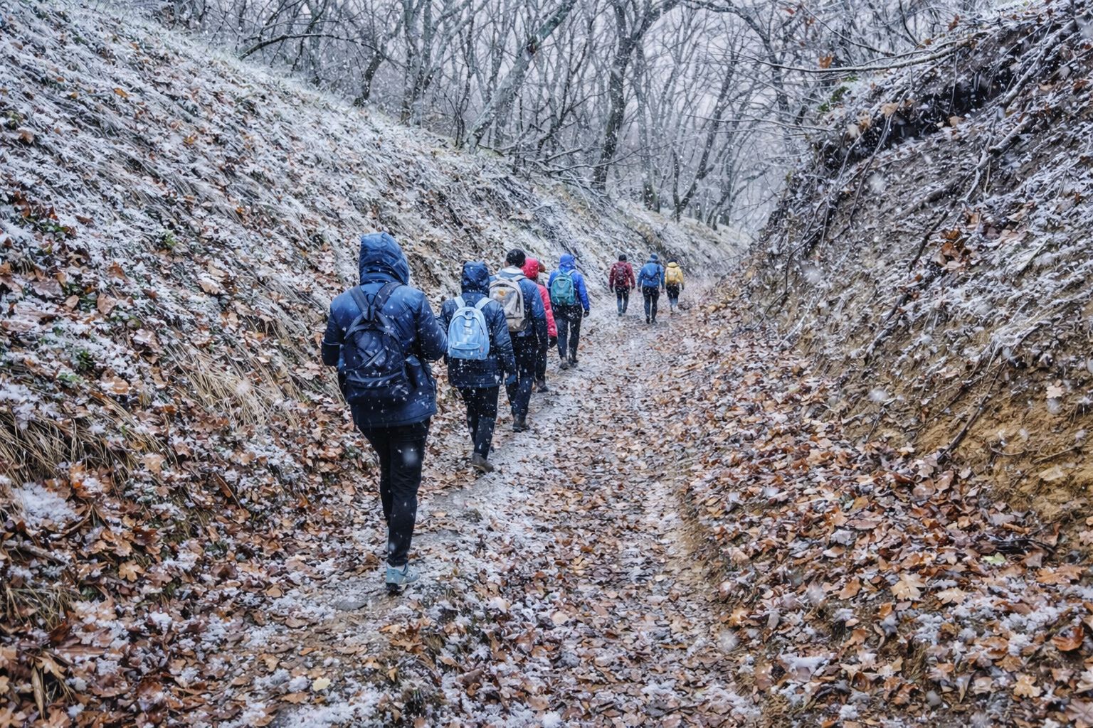 Drumeție de iarnă în Munții Măcin | 1 februarie 2026