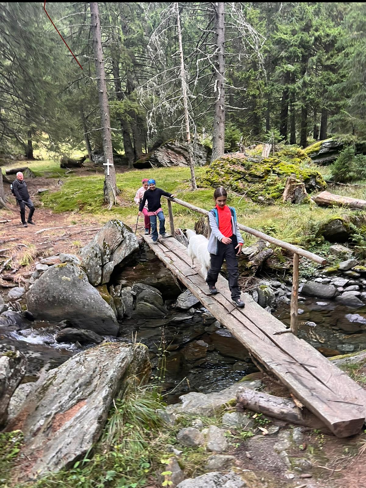 DRUMETIE AFTERWORK PE VANATOAREA BUTEANULUI 2507m