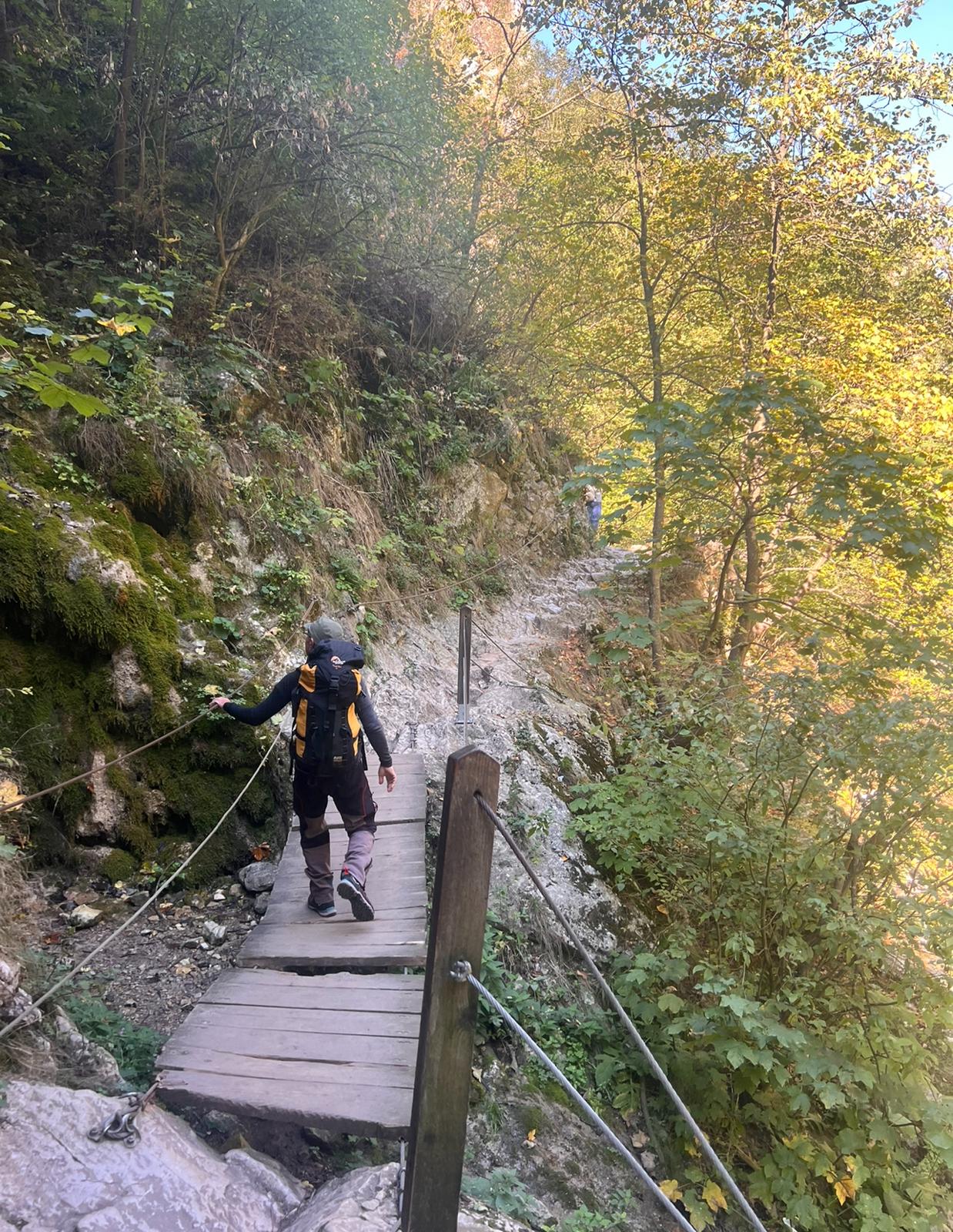 Drumetie in cautarea Hribilor de Iulie in Munții Cindrel