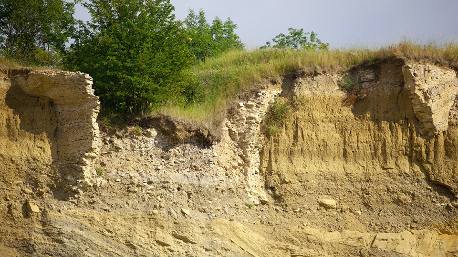 Ruinele cetății lui Vintilă Vodă
