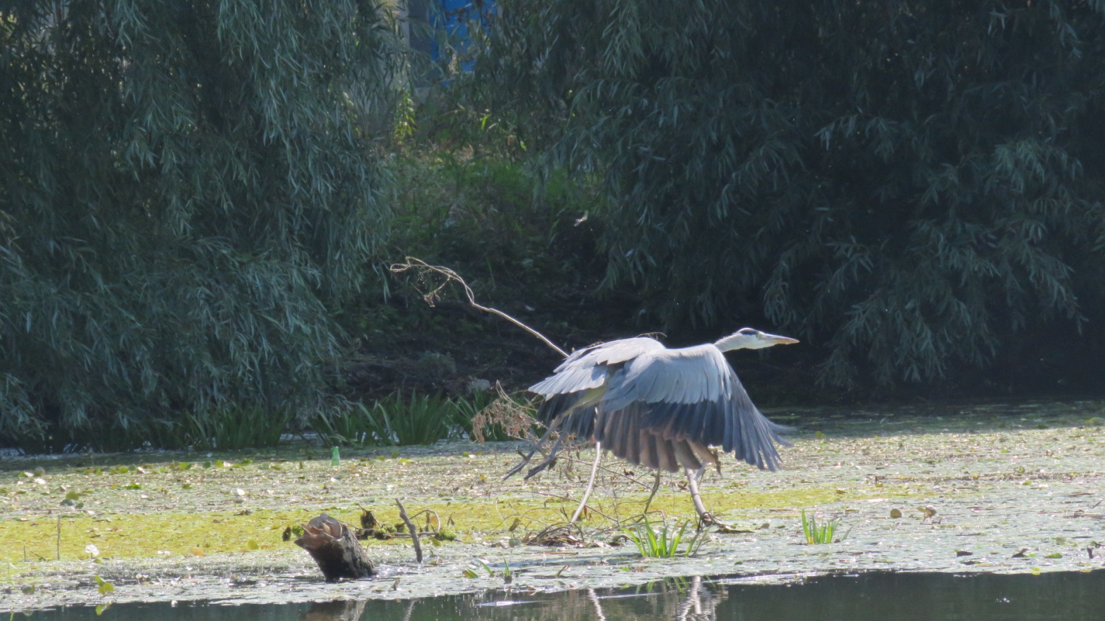 Viziteaza satul pescaresc Mila 23