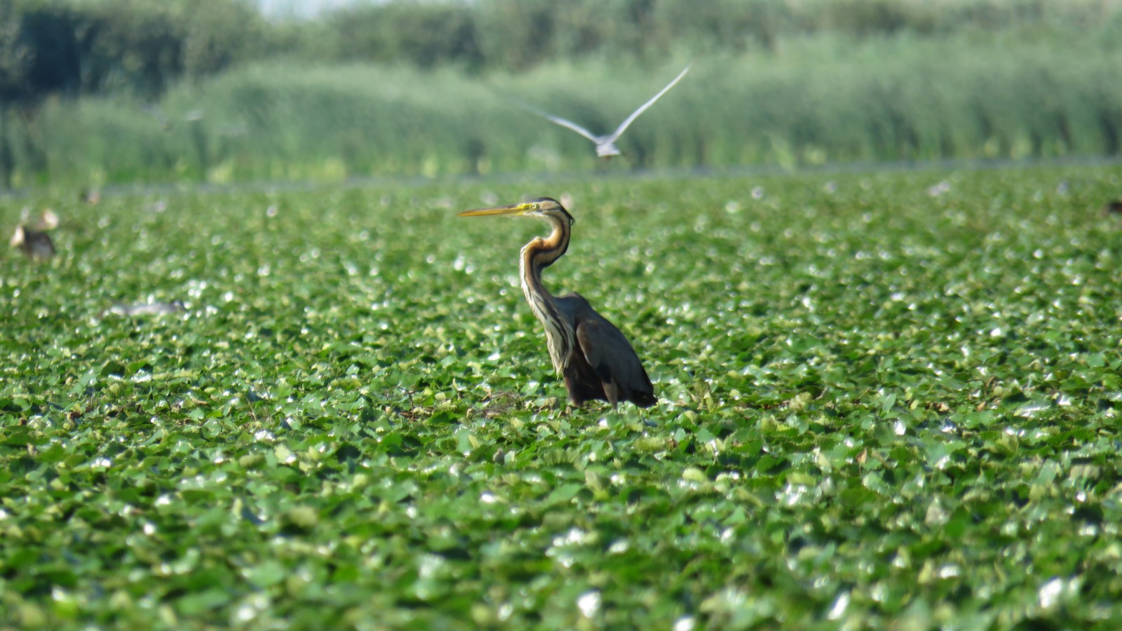 Viziteaza satul pescaresc Mila 23