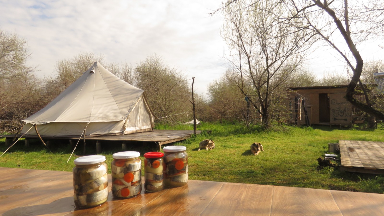 Traditii si istorie in orasul de la Gurile Dunarii - Sulina