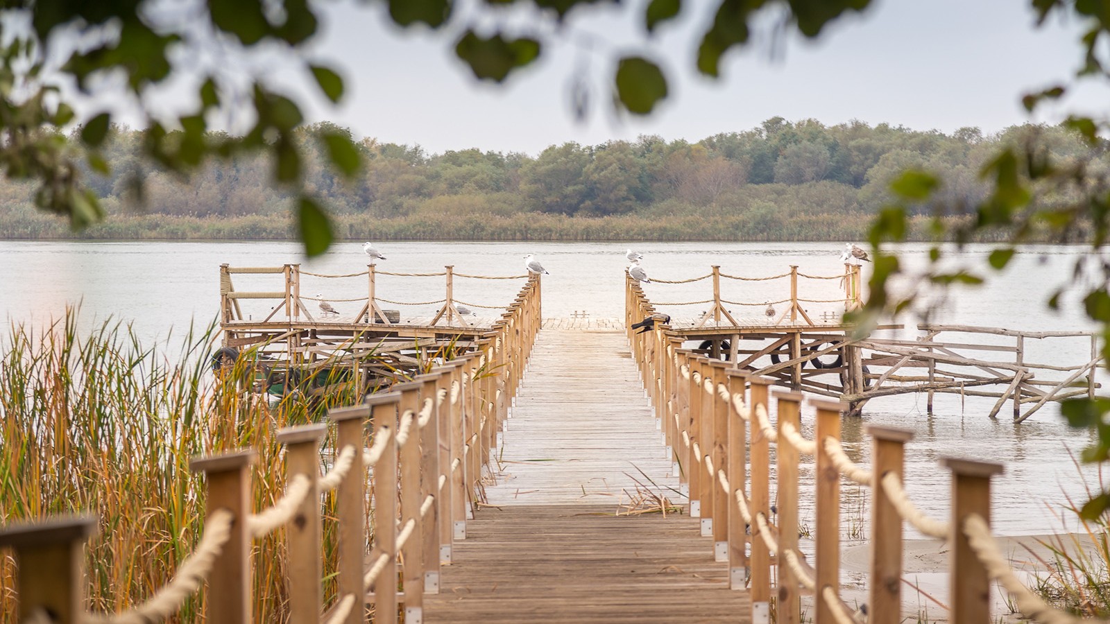 Green Village Resort - Danube Delta | Sfântu Gheorghe