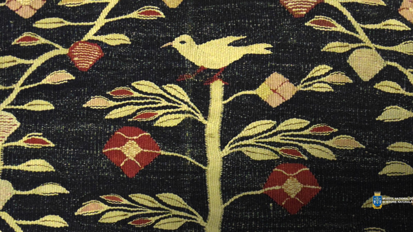 PASĂREA MĂIASTRĂ - ZBOR ÎNTRE LUMI