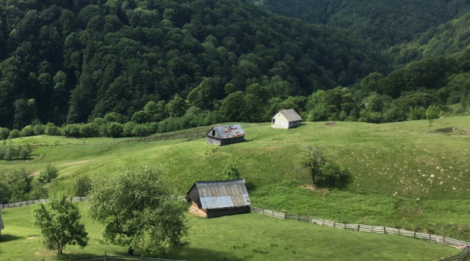 Drumeție din Păltiniș pe Calea Studenților
