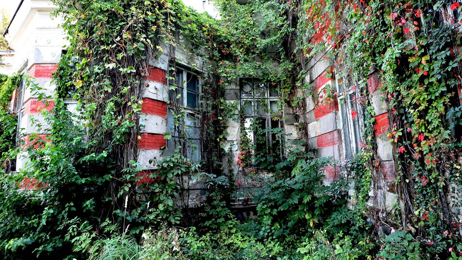 Centrul Muzeal „I.C. Brătianu”