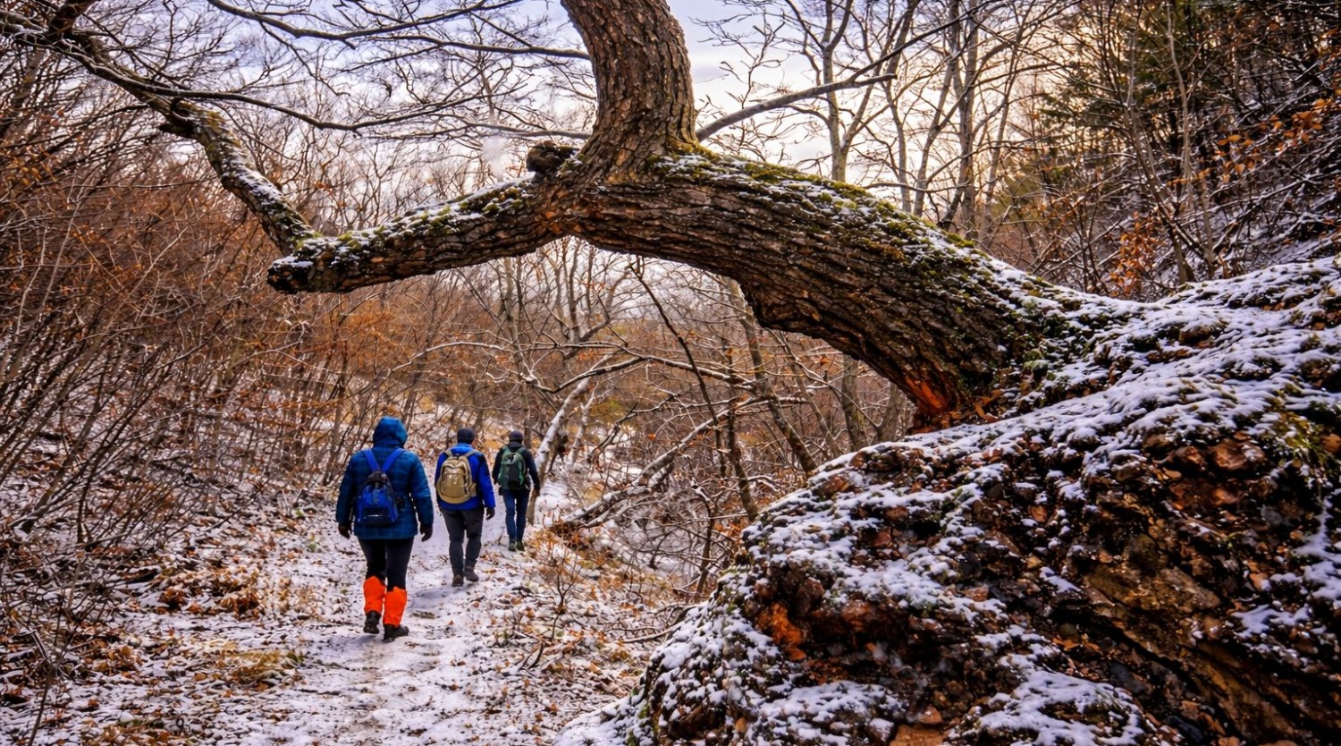 Drumeție de iarnă în Munții Măcin - zona Greci,Dealul cu Drum | 24 ianuarie
