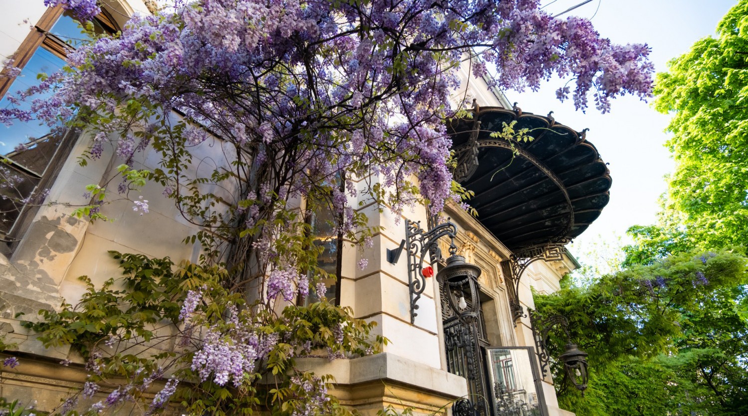 Explorează Bucureștiul: La pas prin zona Ioanid și Grădina Icoanei