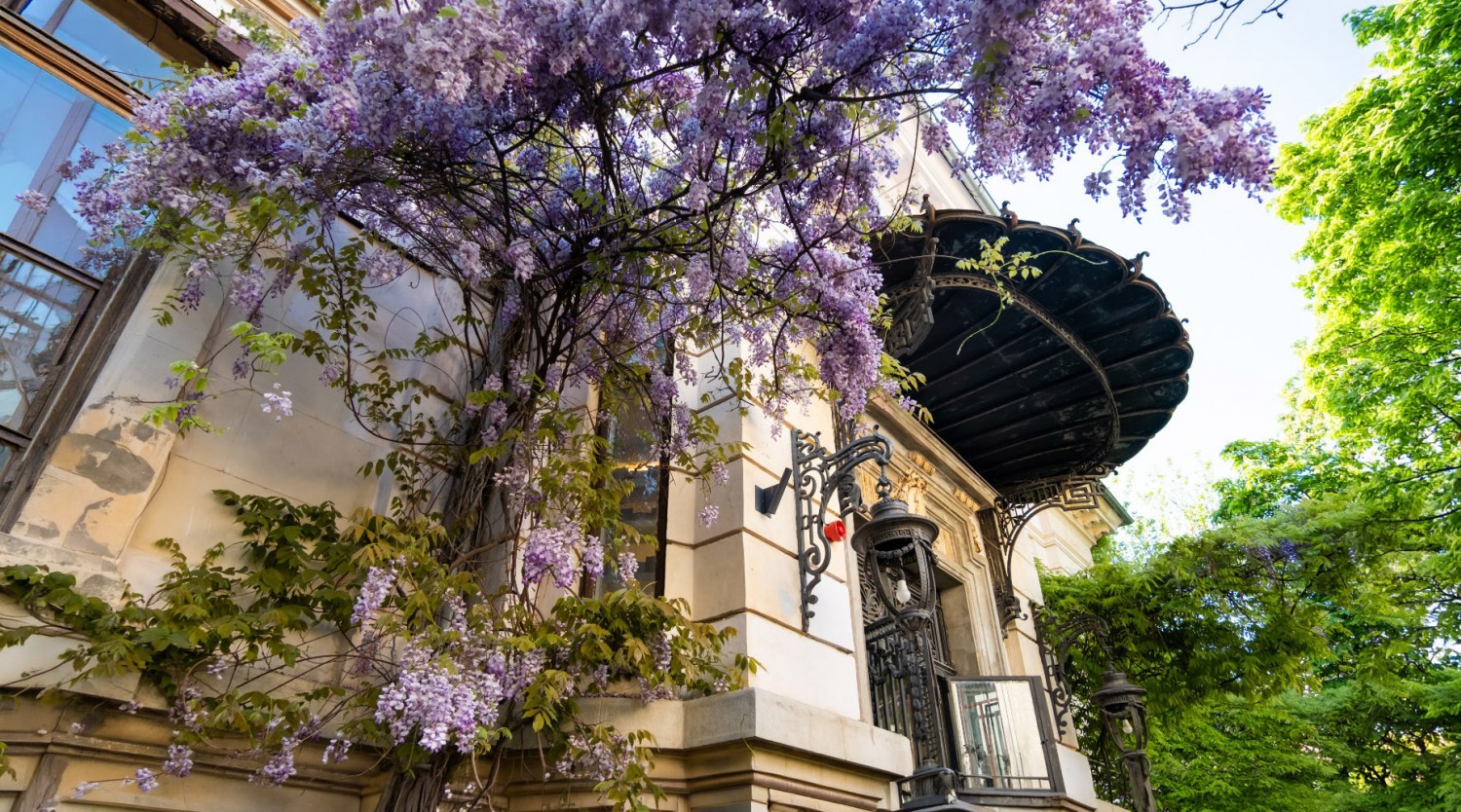 Poveşti aristocrate şi case frumoase din Bucureşti - tur pietonal