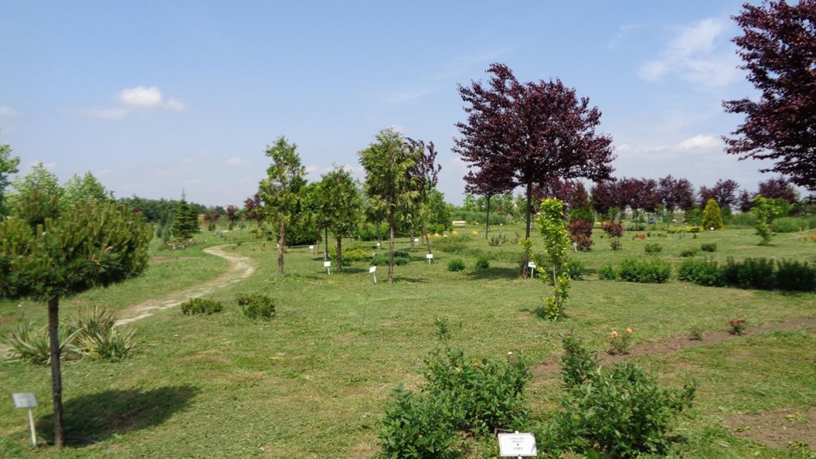 Gradina Botanica Bucov