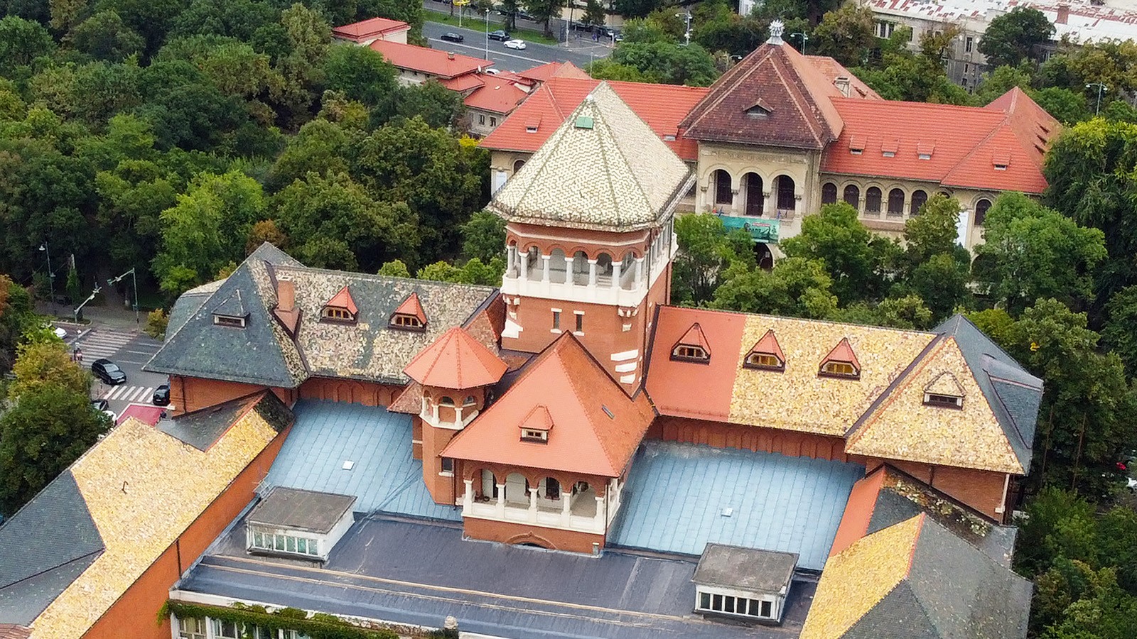 Muzeul National al Taranului Roman